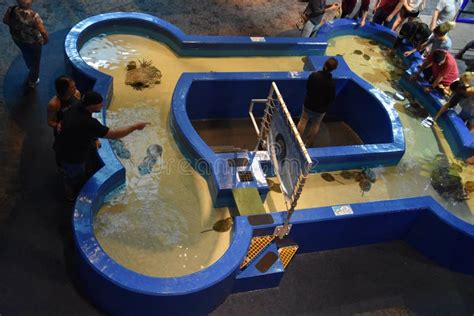 Ripleys Aquarium Of The Smokies In Gatlinburg Tennessee Editorial