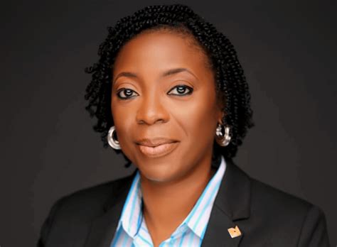 Bolaji Agbede Appointed Interim Ceo Of Access Holdings Cio Africa