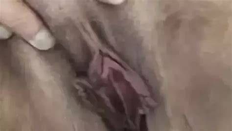 Free Flap Porn Videos Xhamster