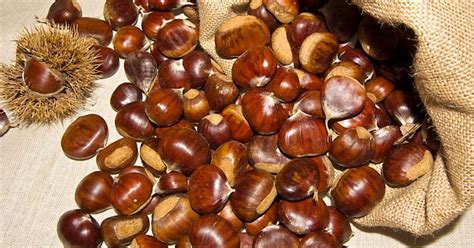 Поделки из желудей своими руками