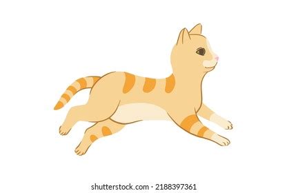 162 Stretching Baby Pussy Images Stock Photos Vectors Shutterstock