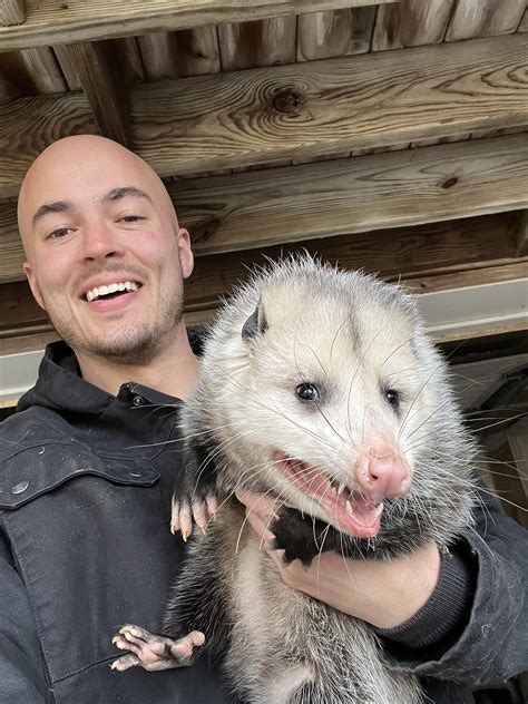 Found a stray cat in my garage this morning : r/aww