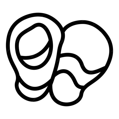 Premium Vector | Macadamia nuts cracking open showing nut and shell