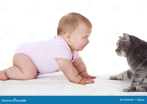 Cheerful Babe With Cat Stock Photo Image Of Pleasure 22598182
