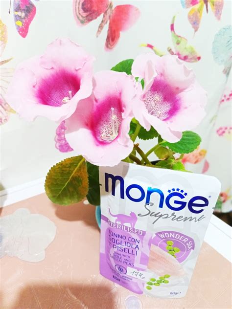 Влажный корм для кошек Monge Supreme, тунец с желтоперой камбалой и ...