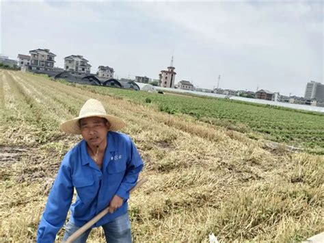 玩转“田间地头”！ 听种粮大户算算这笔“共富账” 萧山网 全国县（市、区）第一网