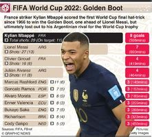 Soccer Fifa World Cup Winners And Finalists Infographic