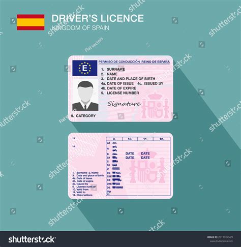 Kingdom Spain Spanish Car Driver License Stock Vector (Royalty Free