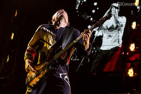 POZE Red Hot Chili Peppers La Bucuresti IConcert Ro IConcert Ro