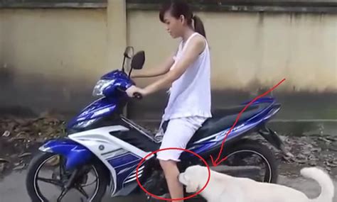 Mất phút học sử dụng là hot girl đã chạy được Exciter côn tay banh vn