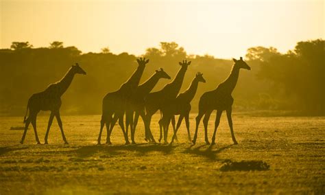 south africa rainbow route southern exposure tours