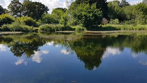 Lavington Angling Club Latest Updates Facebook