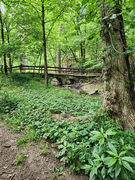 Pittsburgh Hiking Meetup Group finds camaraderie on the trails