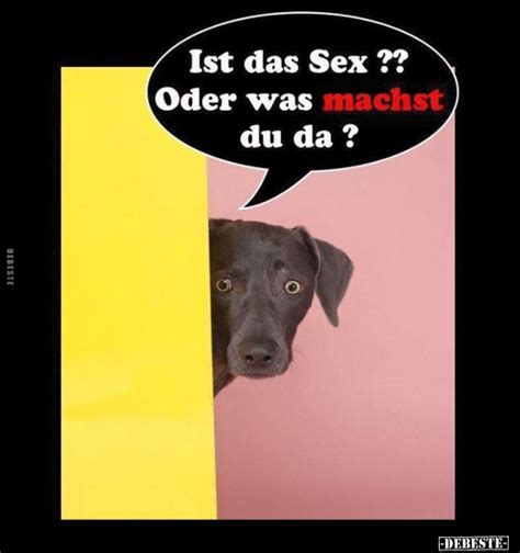 Ist Das Sex Oder Was Machst Du Da DEBESTE De
