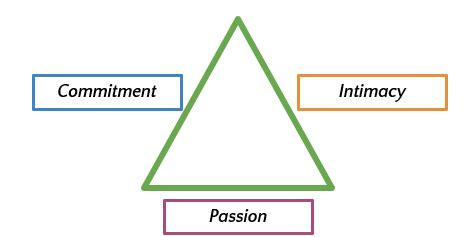 psy lab  triangular theory  love flashcards quizlet