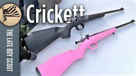 Crickett Rifles Are Awesome Youtube