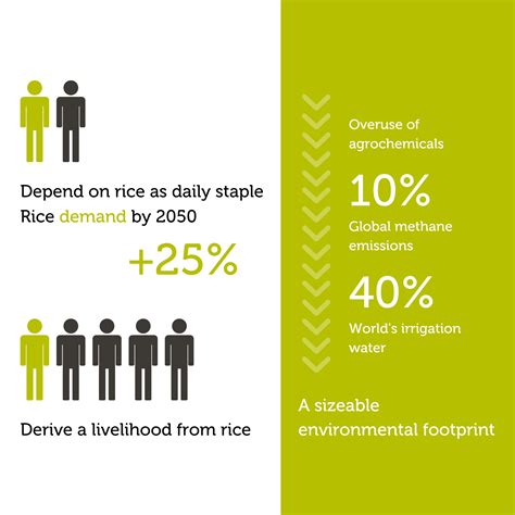 Global programmes | Sustainable rice