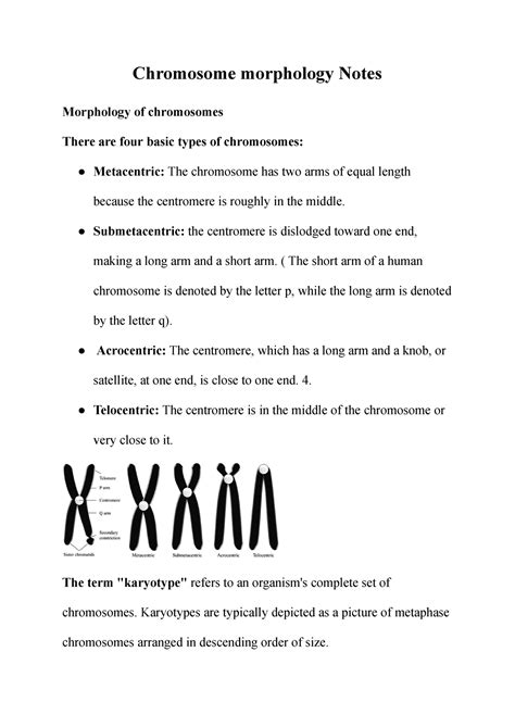 Chromosome Morphology Notes Chromosome Morphology Notes Morphology Of