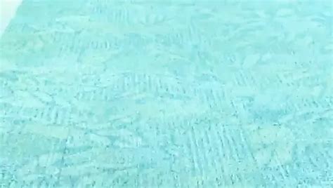 Mini Mart Fucking Milf Priscilla XHamster