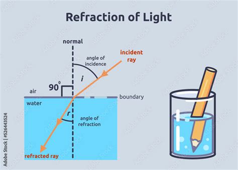 refraction net worth