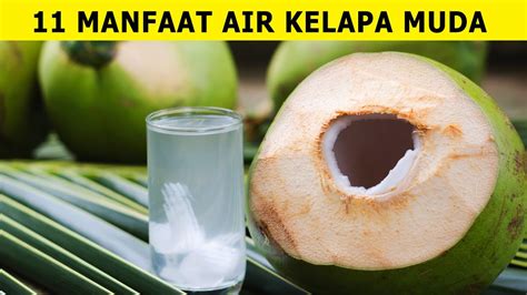 Manfaat Air Kelapa Muda Bagi Kesehatan Youtube