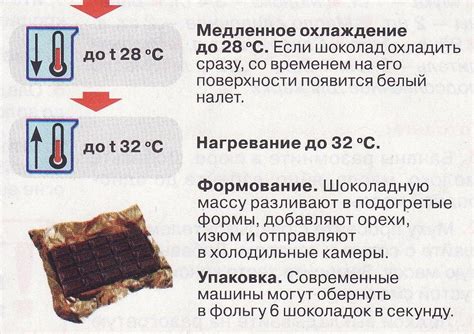 Какао-порошок и шоколад: сырье, классификация, ассортимент, требования ...