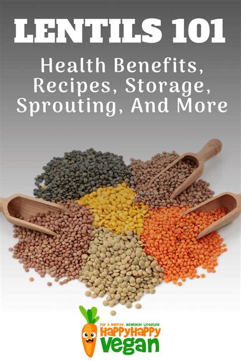 Lentils 101: Health Benefits, Recipes, Storage, Sprouting, And More