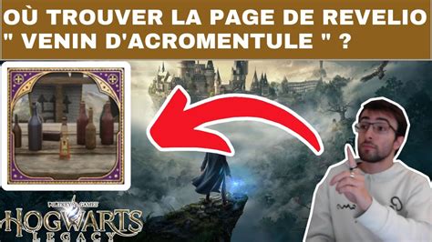 Hogwarts Legacy Localisation Comment O Trouver Page De Revelio