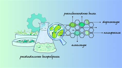 «Биомолекула»