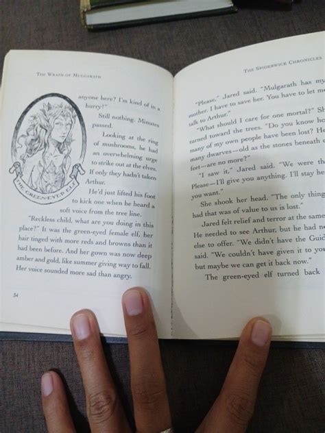 The Spiderwick Chronicles Book 5 Hobbies And Toys Books And Magazines