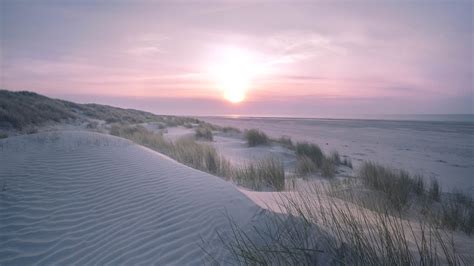 Meeresrauschen mit Möwen Wellenrauschen zum Einschlafen Nordsee