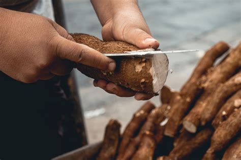 Manfaat Singkong Untuk Kesehatan Dan Cara Menyiapkannya