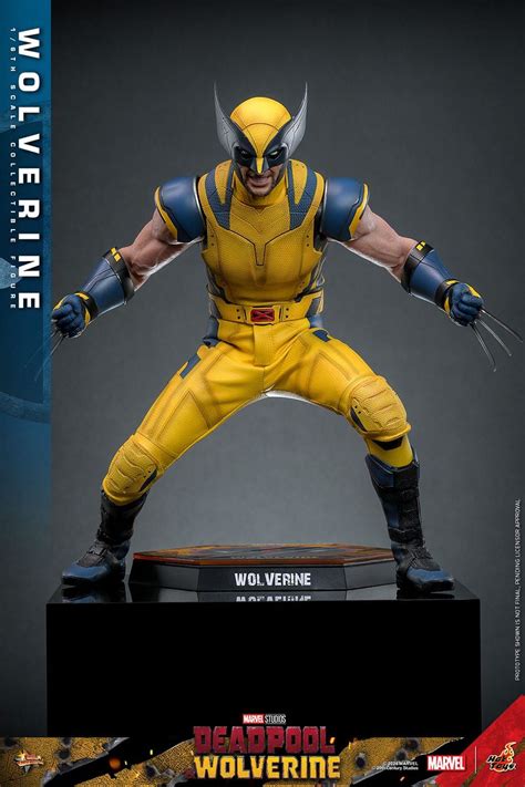 Wolverine Hot Toys Movie Masterpiece Collector Figure