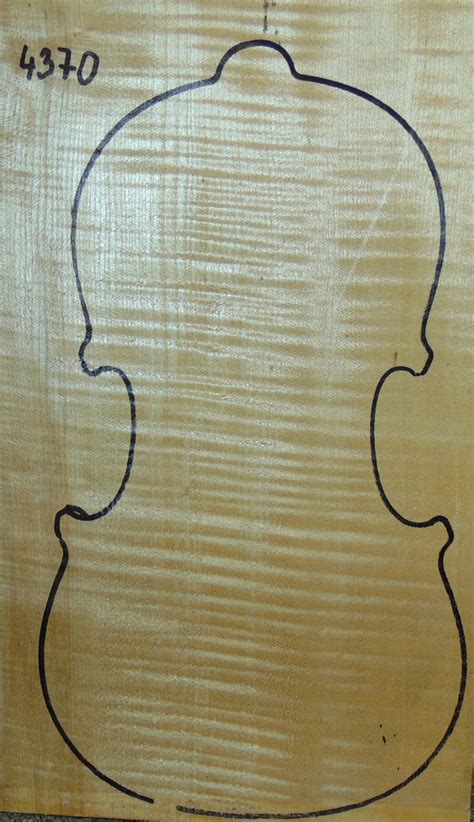 1 Piece Violin Maple 2010 Tonewood Shop