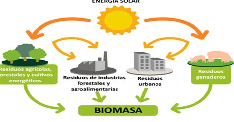 Energia Biomasa Energia Biomasa