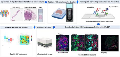 Frontiers Challenges And Opportunities For Immunoprofiling Using A Spatial High Plex