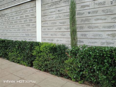 Infinix Hot Play Review The Big Battery Budget Smartphone Techsawa