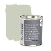 Le Noir Blanc Muurverf Extra Mat Newport Green 100 Ml Kopen