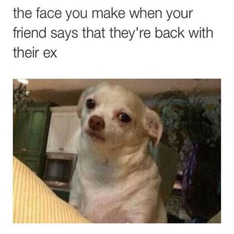 29 That Face You Make When Memes That Should Be A Universal Dictionary