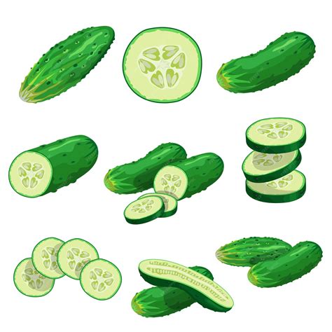 Premium Vector Cartoon Cucumbers Set Whole Cucumbers Half Flying