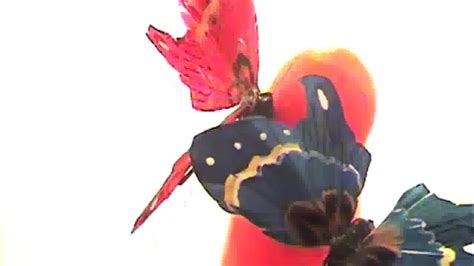 Gay Clowns Abusing Themselves Boyfriendtv