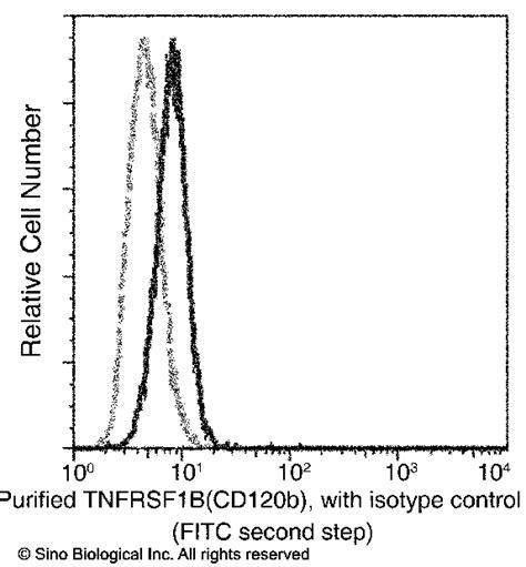 Tnfr Cd B Antibody Guideline Sino Biological