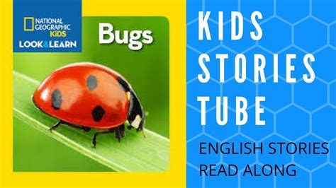 Bugs by National Geographic | English stories for kids - English
