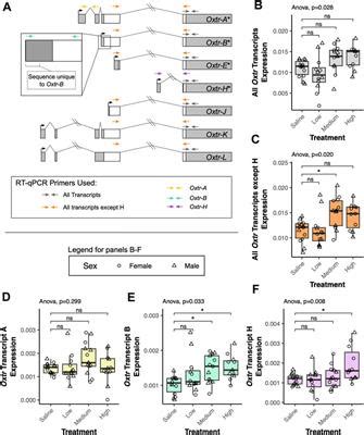 Frontiers Transcriptional Diversity Of The Oxytocin Receptor In