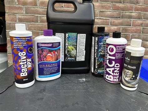 How To Cure Live Rock Reef Builders The Reef And Saltwater Aquarium