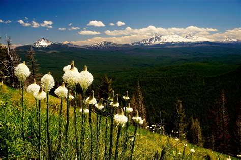 The Hardest Cuts: Crescent Mountain — Off the Beaten Trail!