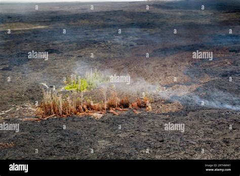 Aerial View Of Forest Remnants Between Volcanic Fumes On The