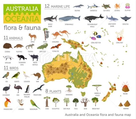 Antarctic Antarctica Flora And Fauna Map Flat Vector Image On