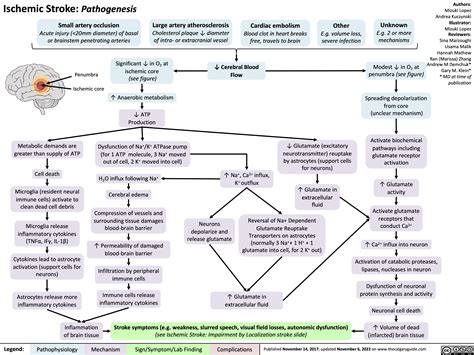 Hemorrhagic Stroke Pathophysiology