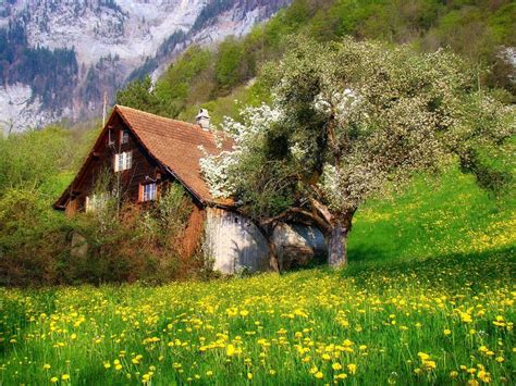 Spring Swiss Wallpapers Wallpaper Cave